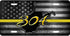 WV Gold 304 License Plate