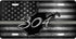 WV Gray 304 License Plate