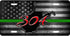 WV Red 304 License Plate