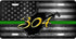 WV Gold 304 License Plate