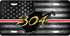 WV Gold 304 License Plate