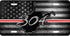 WV Gray 304 License Plate