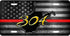 WV Gold 304 License Plate