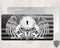 Three Skulls License Plate