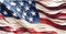 American Flag Leather License Plate