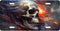 American Skull License Plate