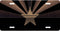 Arizona Dark Bronze License Plate