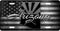 Arizona License Plate