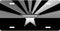 Arizona Nightshade License Plate