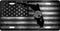 Florida Thin Line License Plate