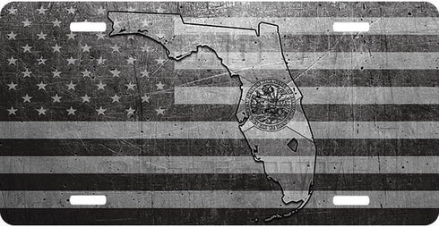 Florida Metal Flag Background