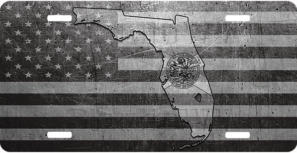 Florida Metal Flag Background