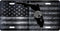Florida Riveted License Plate