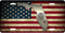 Florida Tea Stained Flag License Plate