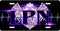 LPN Purple License Plate