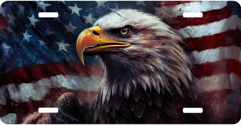 Painted Eagle and Flag License Plate