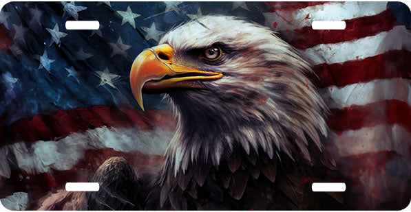 Painted Eagle and Flag License Plate