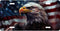Painted Eagle and Flag License Plate