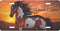 Painted Horse Ninnie License Plate