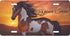 Painted Horse Ninnie License Plate