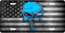Punisher Burning Blue License Plate