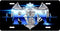 RN Blue License Plate