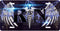 RN Lightning License Plate