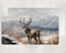 Whitetail Deer License Plate