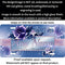Lavender - Purple Couture Roses Personalized License Plate