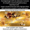 Golden Couture Roses Personalized License Plate