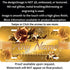 Golden Couture Roses Personalized License Plate